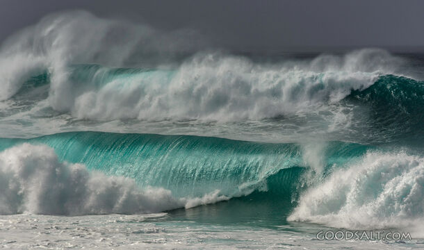 Wild Waves