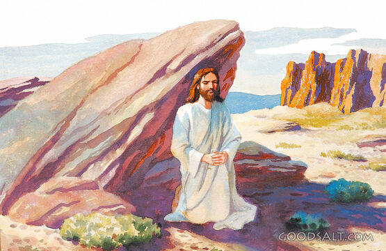 Wilderness of Temptation