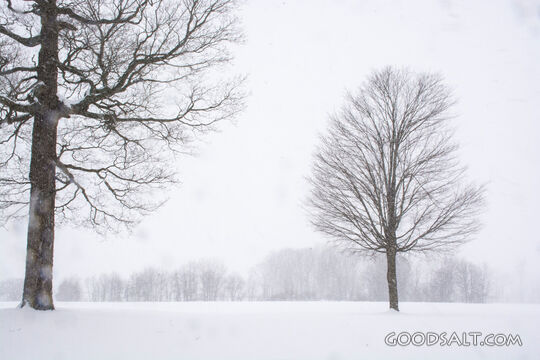 Winter 1