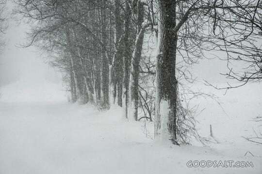 Winter 4