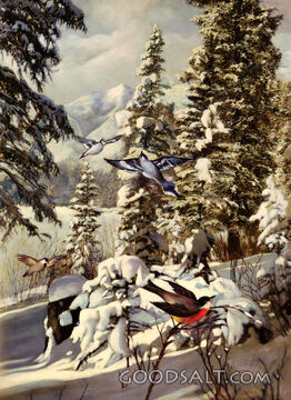 Winter Scene