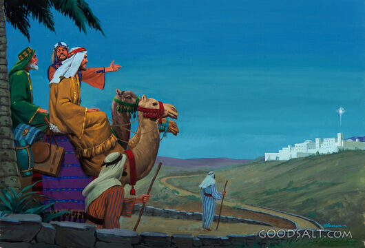 Wise Men Follow the Star