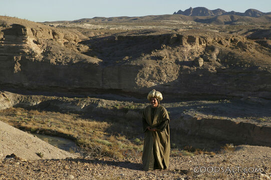 Wiseman in the Desert