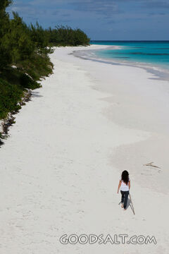 Woman Walking on the Beach