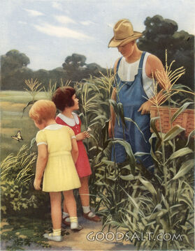 Working the Corn Fields