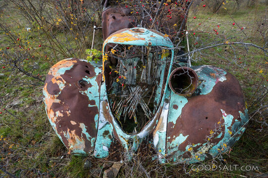 wrecked early Ford in thorn bushes in field