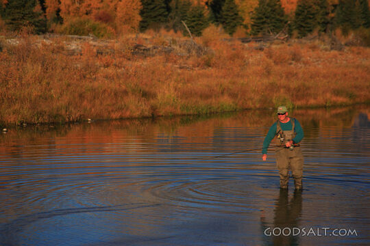 WYOMING. Teton National Park. Man fly fishing at Schwabacher