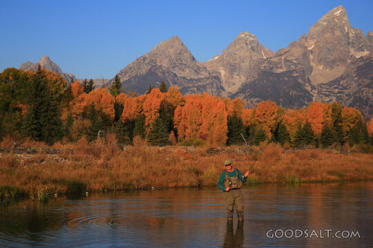 WYOMING. Teton National Park. Man fly fishing at Schwabacher