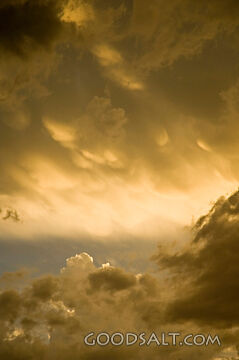 Yellow Clouds at Sunset