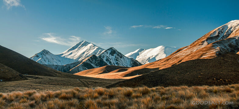 Yellow grass cover in front of spectacular snow peaks.