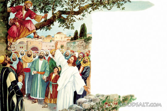 Zacchaeus