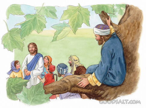 Zacchaeus, Come Down