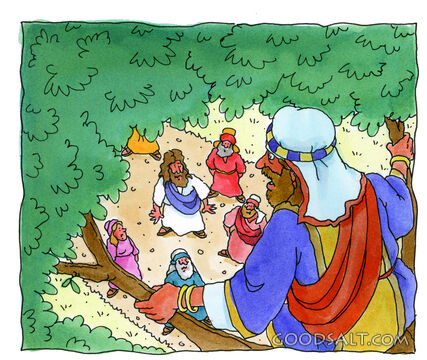 Zacchaeus in a Tree