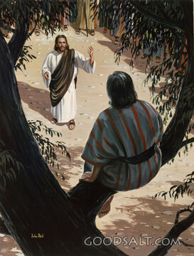 Zaccheus