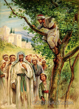 Zaccheus
