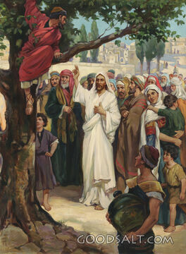 Zaccheus