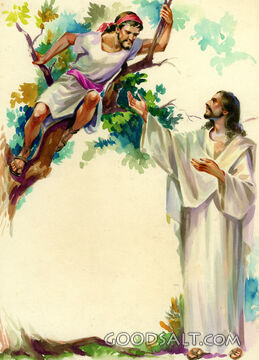 Zaccheus