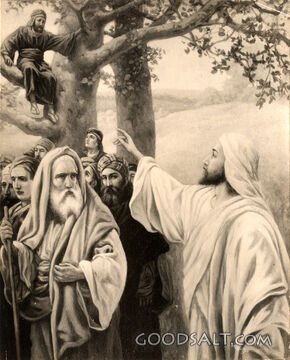 Zaccheus the Publican