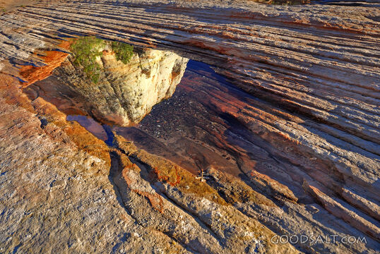 Zion Reflections in Rain Puddle