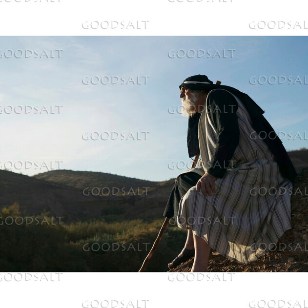 Prophet on the Hillside