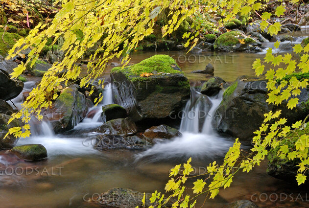 Aurumn Waterfall in Gifford Pinchot National Forest