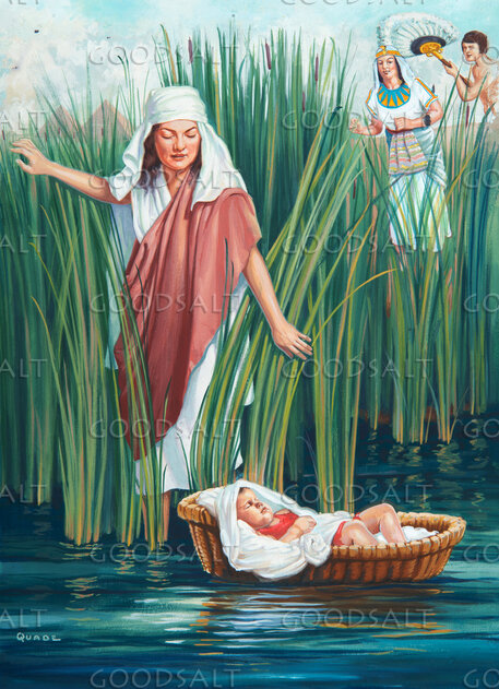 Baby Moses Found by Princess