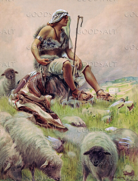 David, the Shepherd