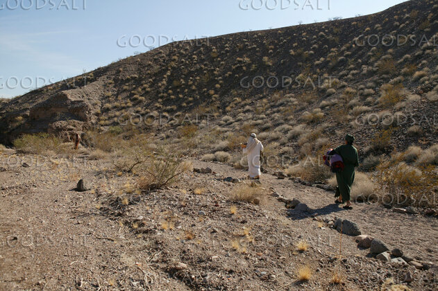 Israelites Walking the Wilderness Road
