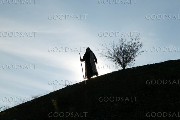 Moses at the Wilderness Bush