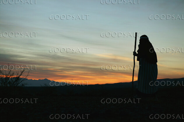Moses Views the Promised Land