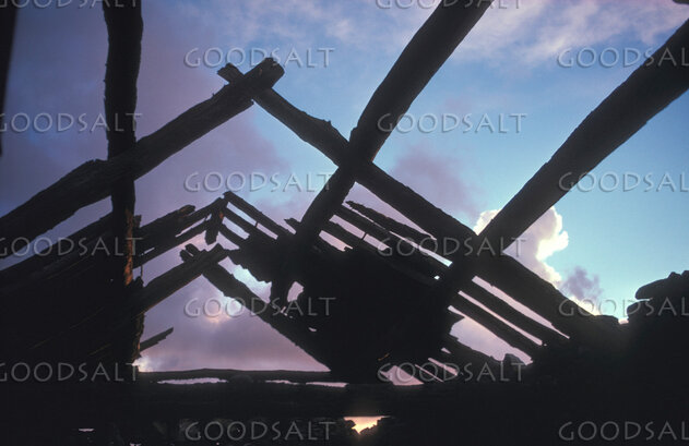 Through the Ruined Rafters