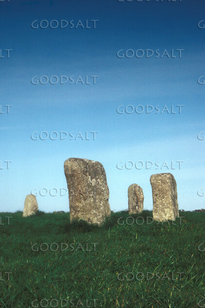 Ancient Standing Stones in a Grassy Field
