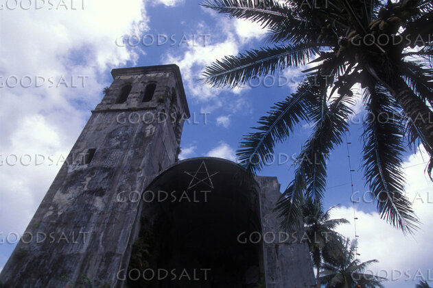 Historic Church Tower Beneath Palms