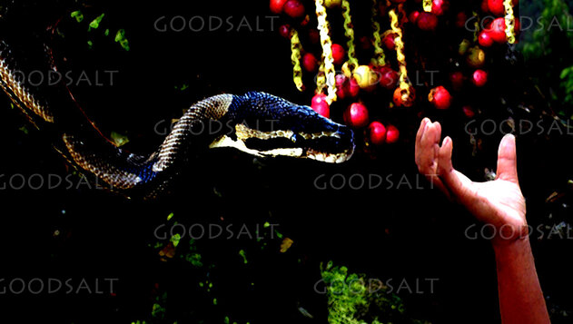 The Serpent’s Temptation