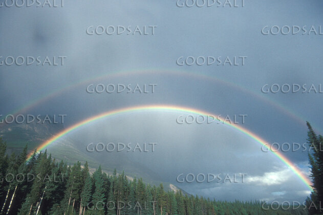 Double Rainbow Covenant Over the Forest