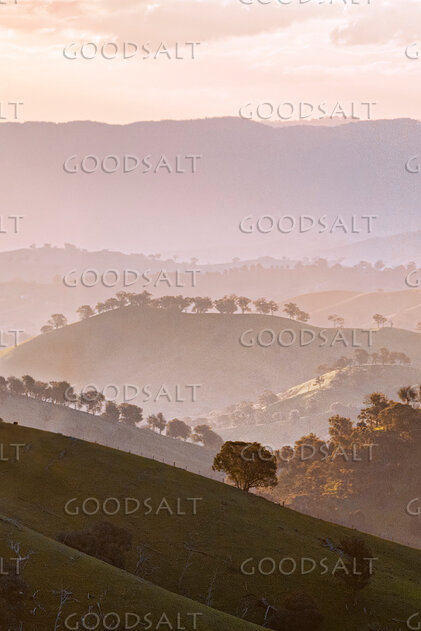 golden late sun bathes country scene and hillsides in misty light.