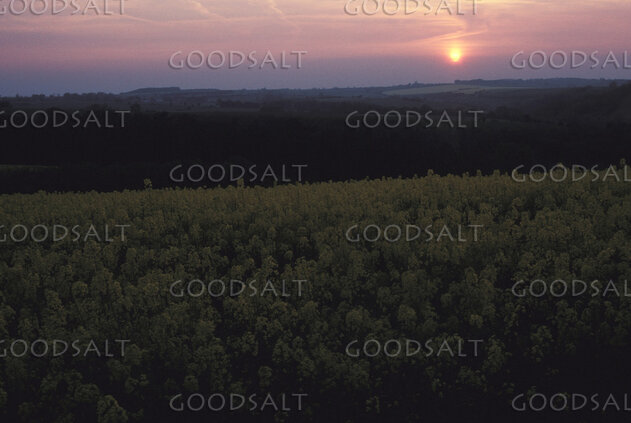 Sunset Over the Harvest Fields