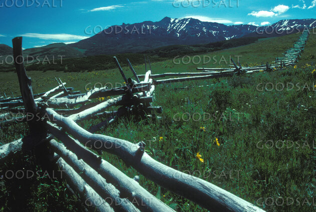 Mountain Pasture Fence