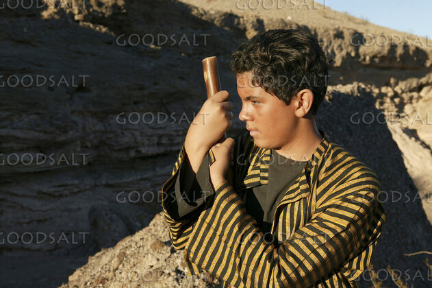 Young Israelite with Staff in the Wilderness