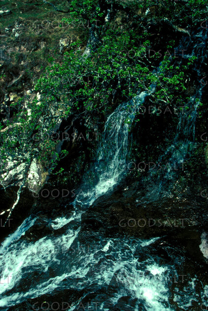 Living Water Cascade