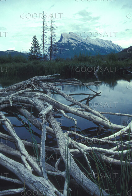 Still Waters Beneath the Mountain