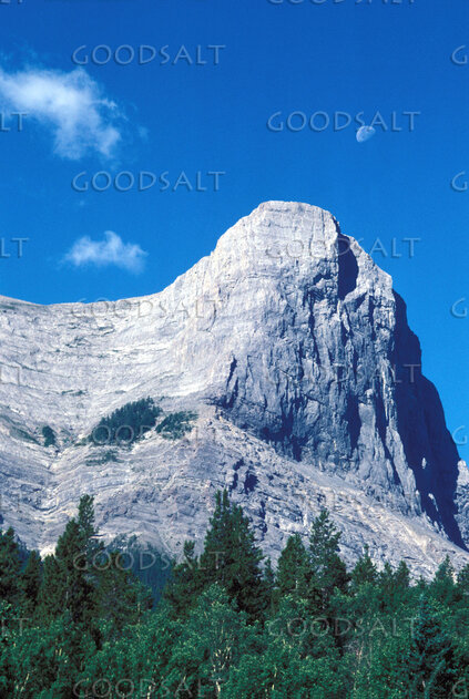 Mountain Majesty Under the Moon