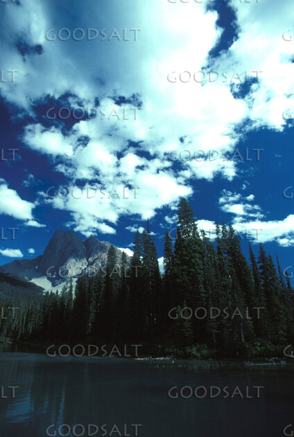 Majesty of Creation