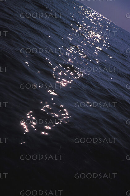 Light Upon the Waters