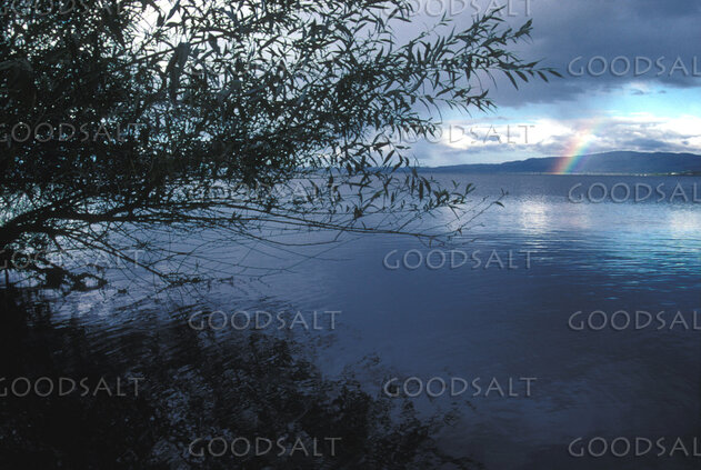 Covenant Rainbow Over the Waters