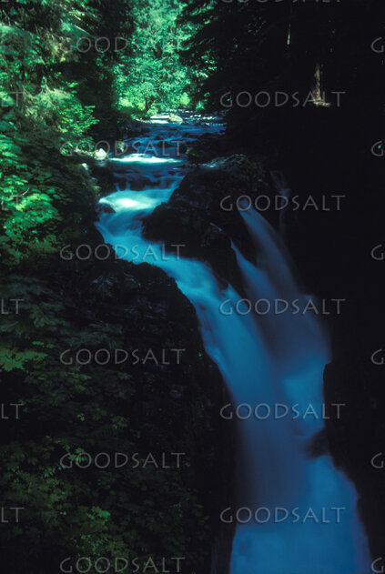 Forest Waterfall of Living Water
