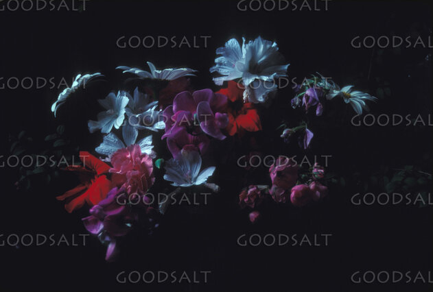 Flowers of Divine Provision