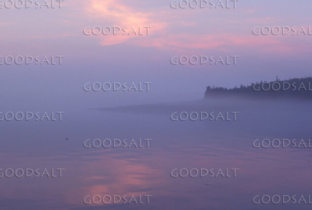 Misty Coastal Dawn