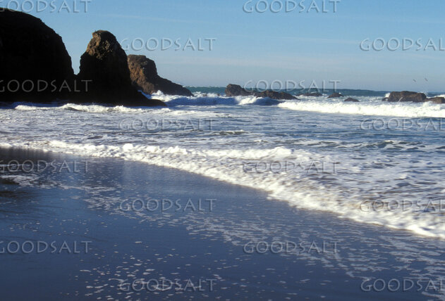 Waves Along the Rugged Shore