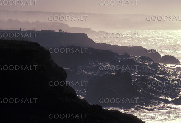 Light Over the Rocky Coast